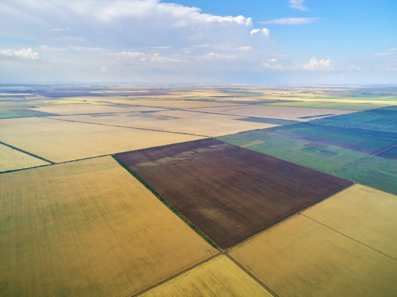 Aerial view of agricultural meadow.